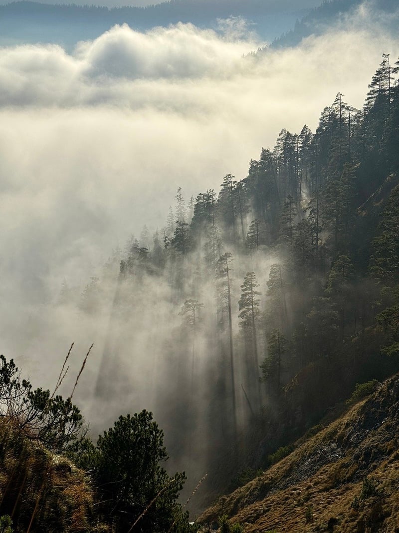 Misty Valley